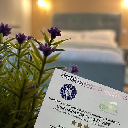 Central Cosy Apartment Kluż-Napoka Zewnętrze zdjęcie