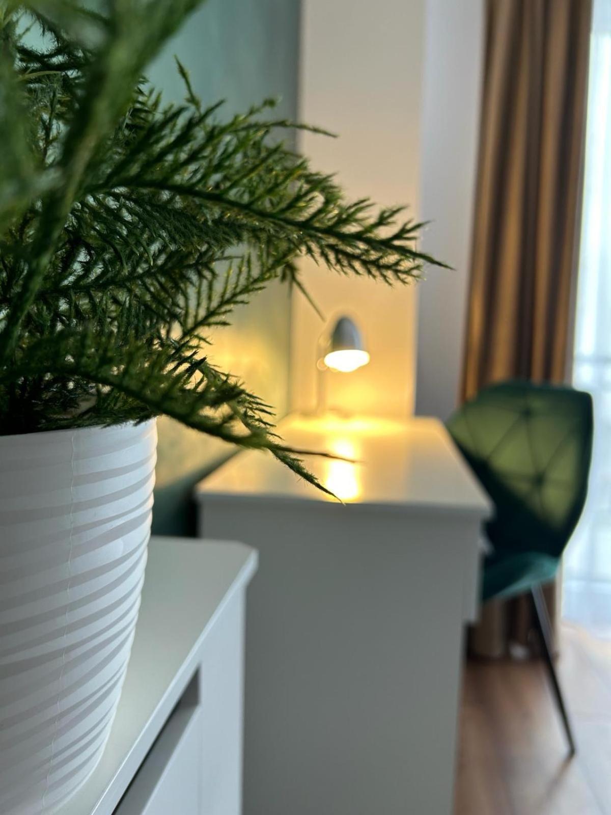 Central Cosy Apartment Kluż-Napoka Zewnętrze zdjęcie